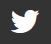 Twitter-Logo: ein kleiner Vogel