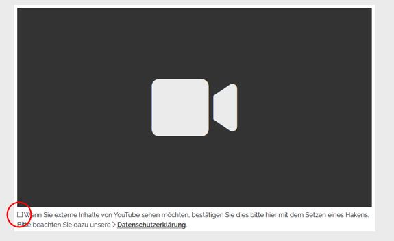 Video-Aktivierung: ein kleines Ankreuz-Feld unter dem Video-Fenster mit einer Kamera darin
