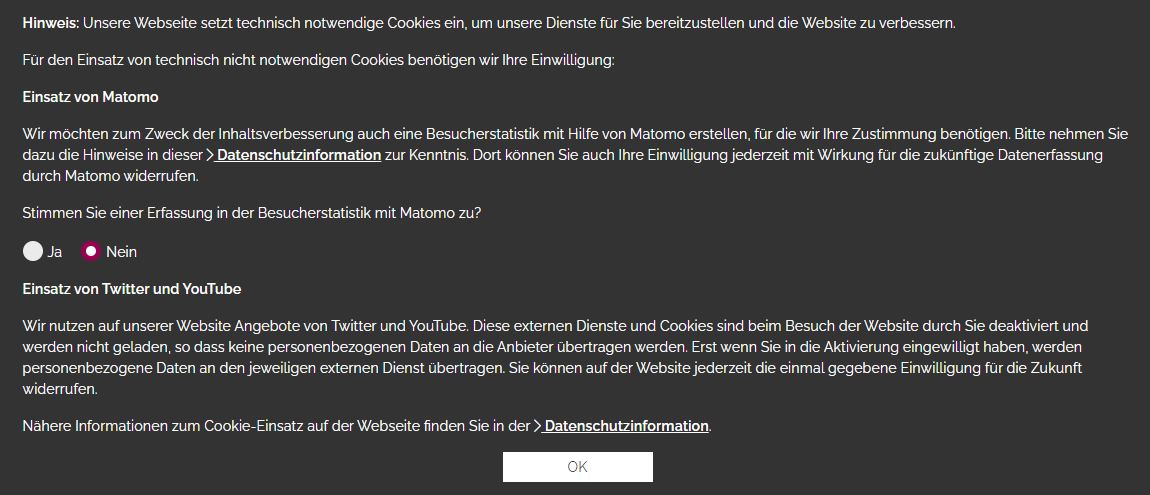 Screenshot Einwilligung Besucherstatistik