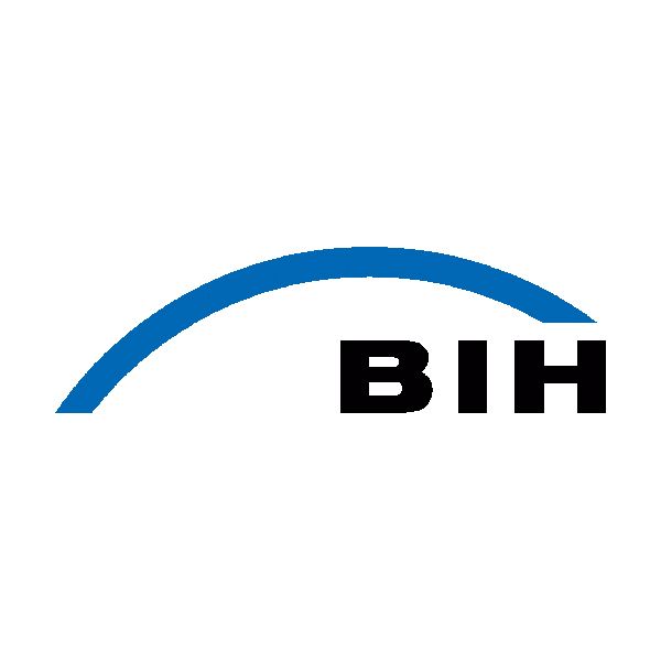 Logo BIH